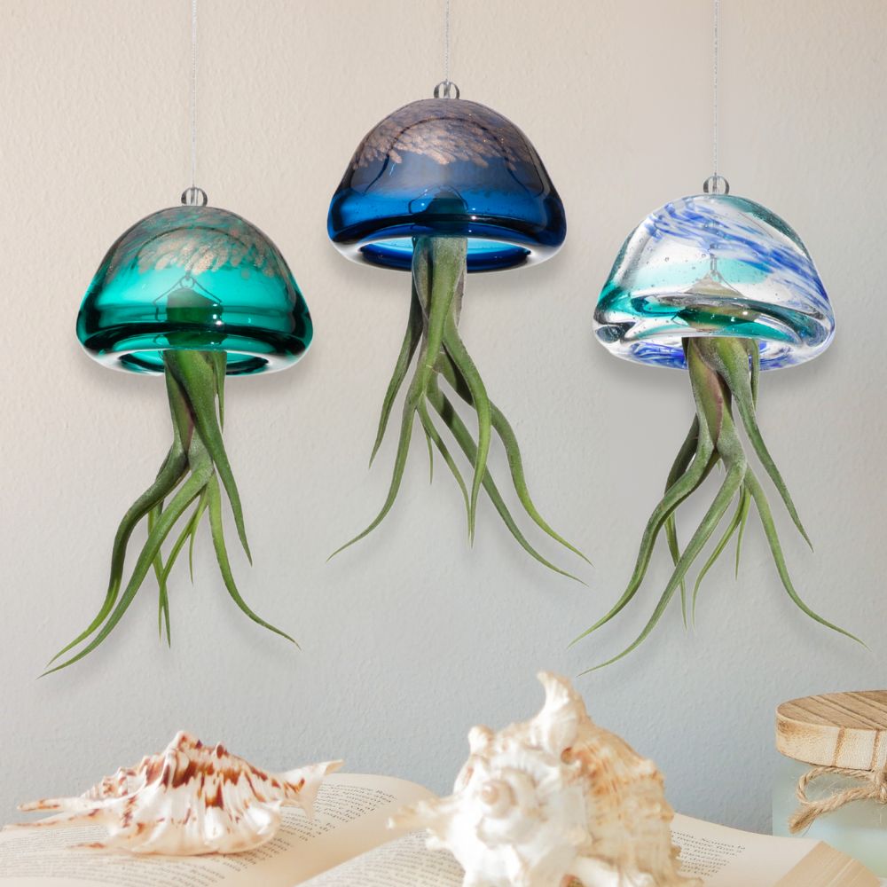 ACQUARIO VOLANTE - 3 JELILY + LIBRO + INTEGRATORE