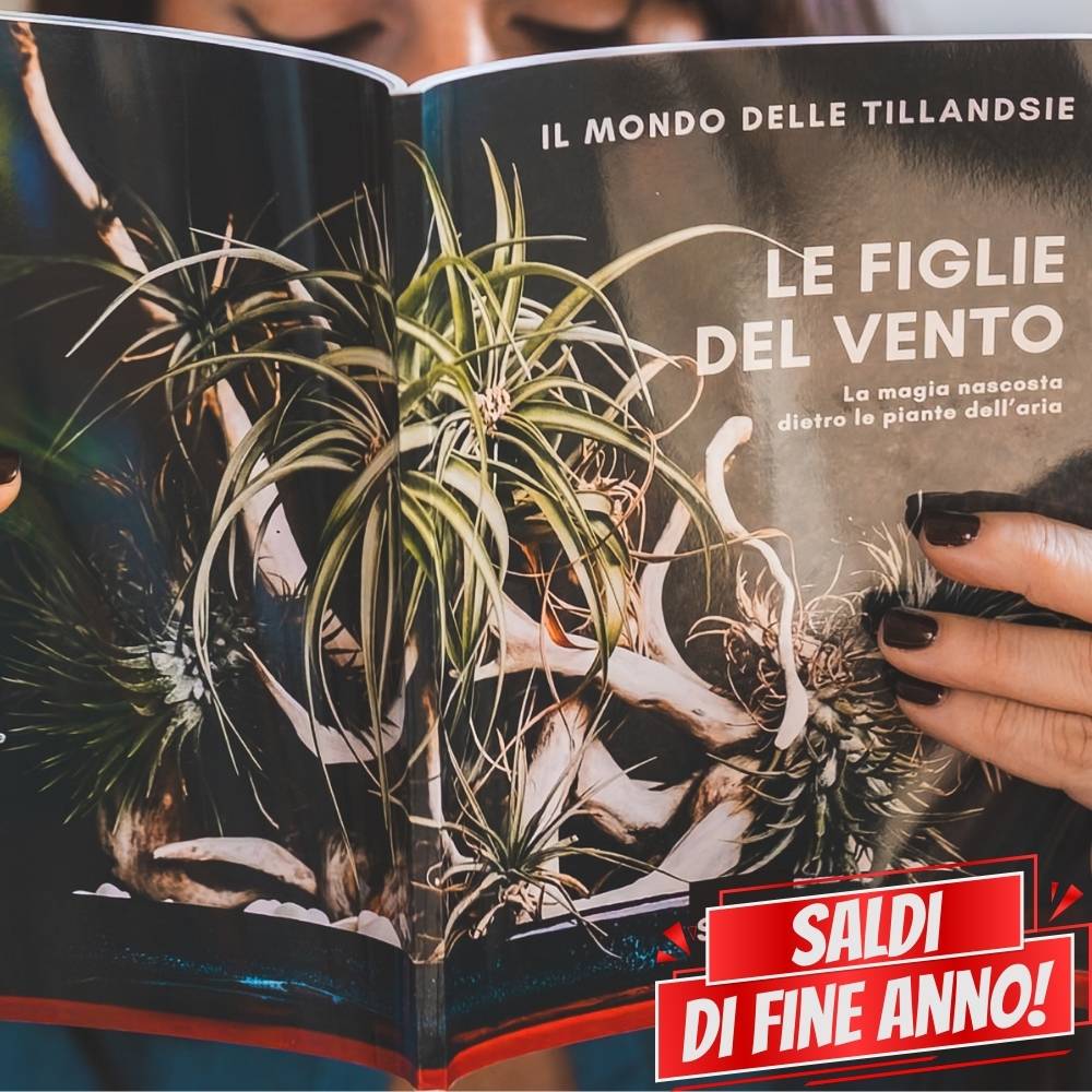 🌟 ACQUARIO VOLANTE - 3 JELILY Porta Tillandsie + LIBRO + INTEGRATORE