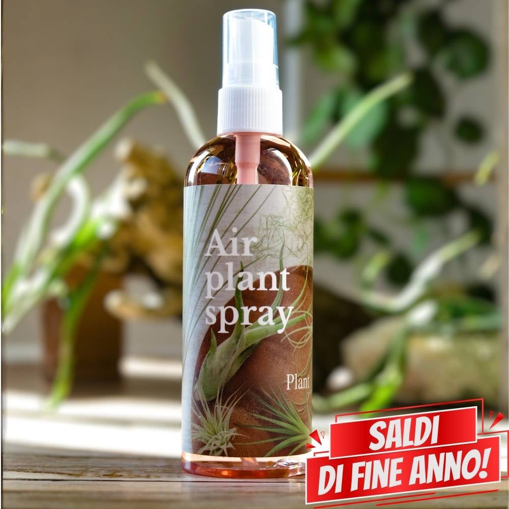 🌟 ACQUARIO VOLANTE - 3 JELILY Porta Tillandsie + LIBRO + INTEGRATORE