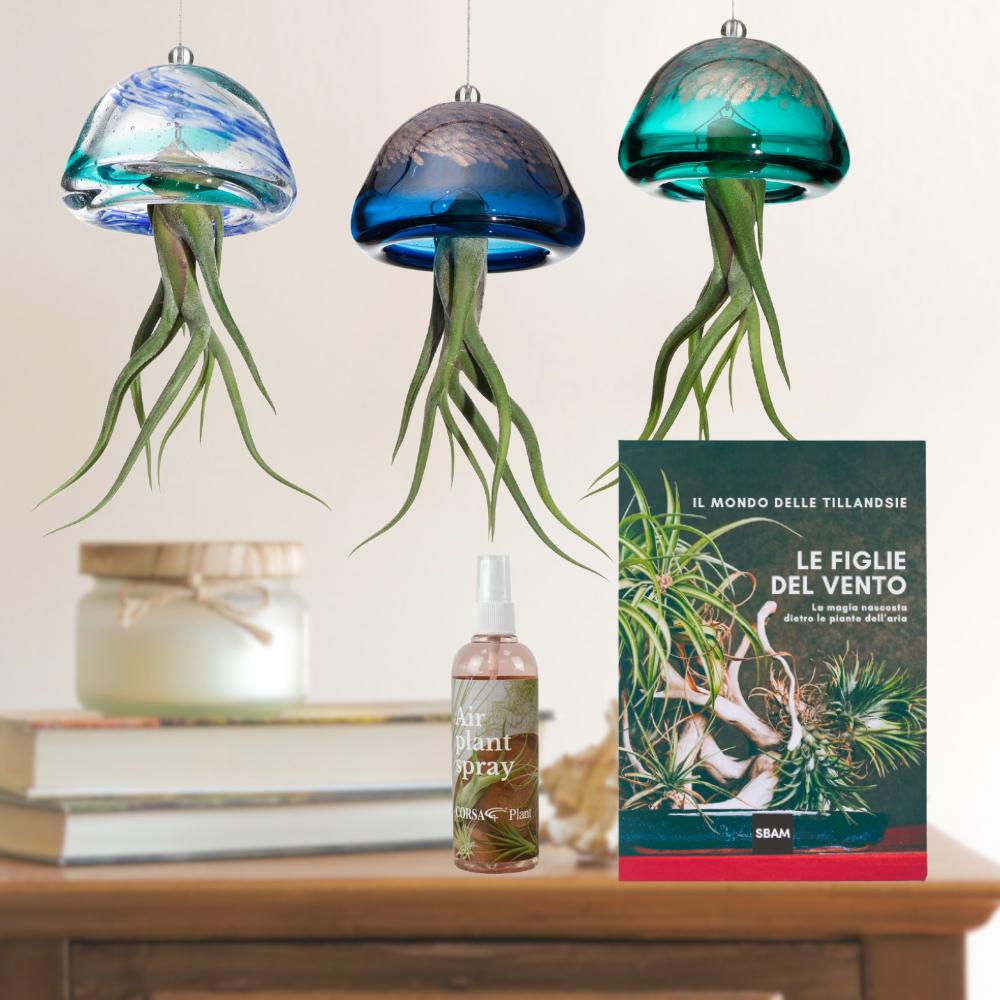 ACQUARIO VOLANTE - 3 JELILY + LIBRO + INTEGRATORE - SBAMGLASS - Casa e giardino