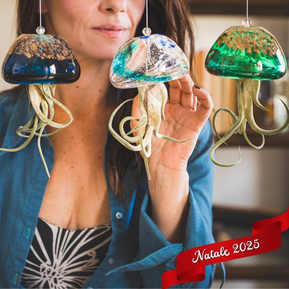 🎄 ACQUARIO VOLANTE - 3 JELILY Porta Tillandsie + LIBRO + INTEGRATORE - SBAMGLASS - Casa e giardino