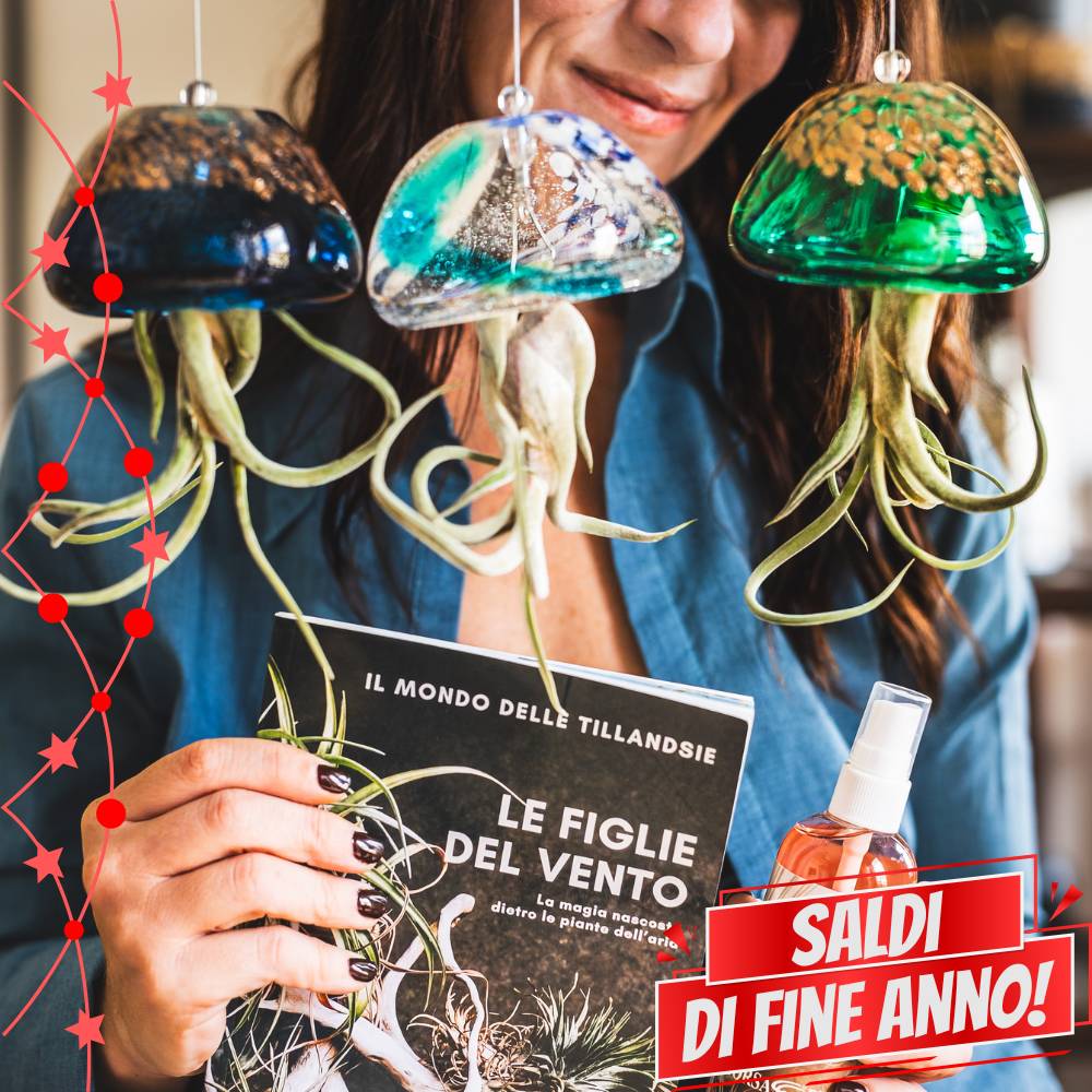 🌟 ACQUARIO VOLANTE - 3 JELILY Porta Tillandsie + LIBRO + INTEGRATORE - SBAMGLASS - Casa e giardino