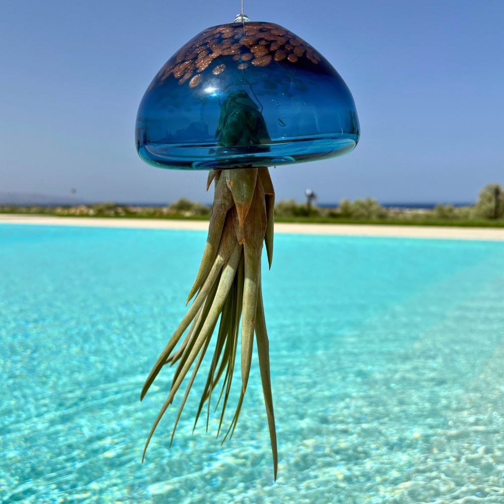 BIG JELILY - SBAMGLASS - Casa e giardino