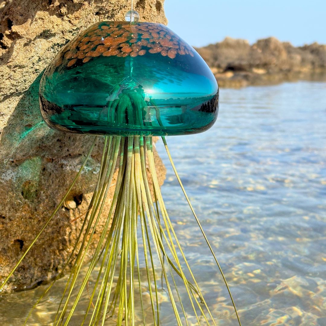 BIG JELILY - SBAMGLASS -