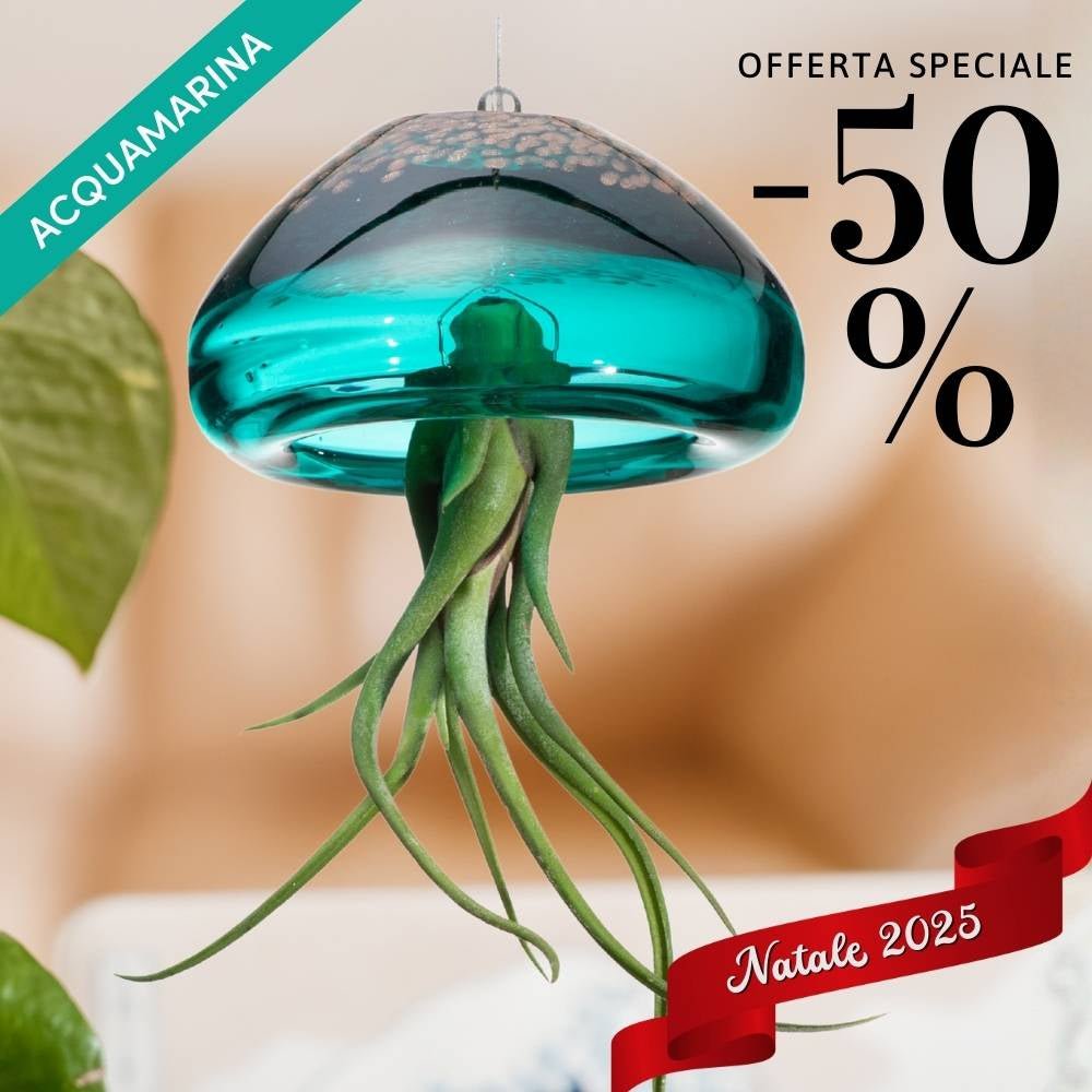 🎄 BIG JELILY - La Grande Medusa Porta Tillandsia - SBAMGLASS - Casa e giardino