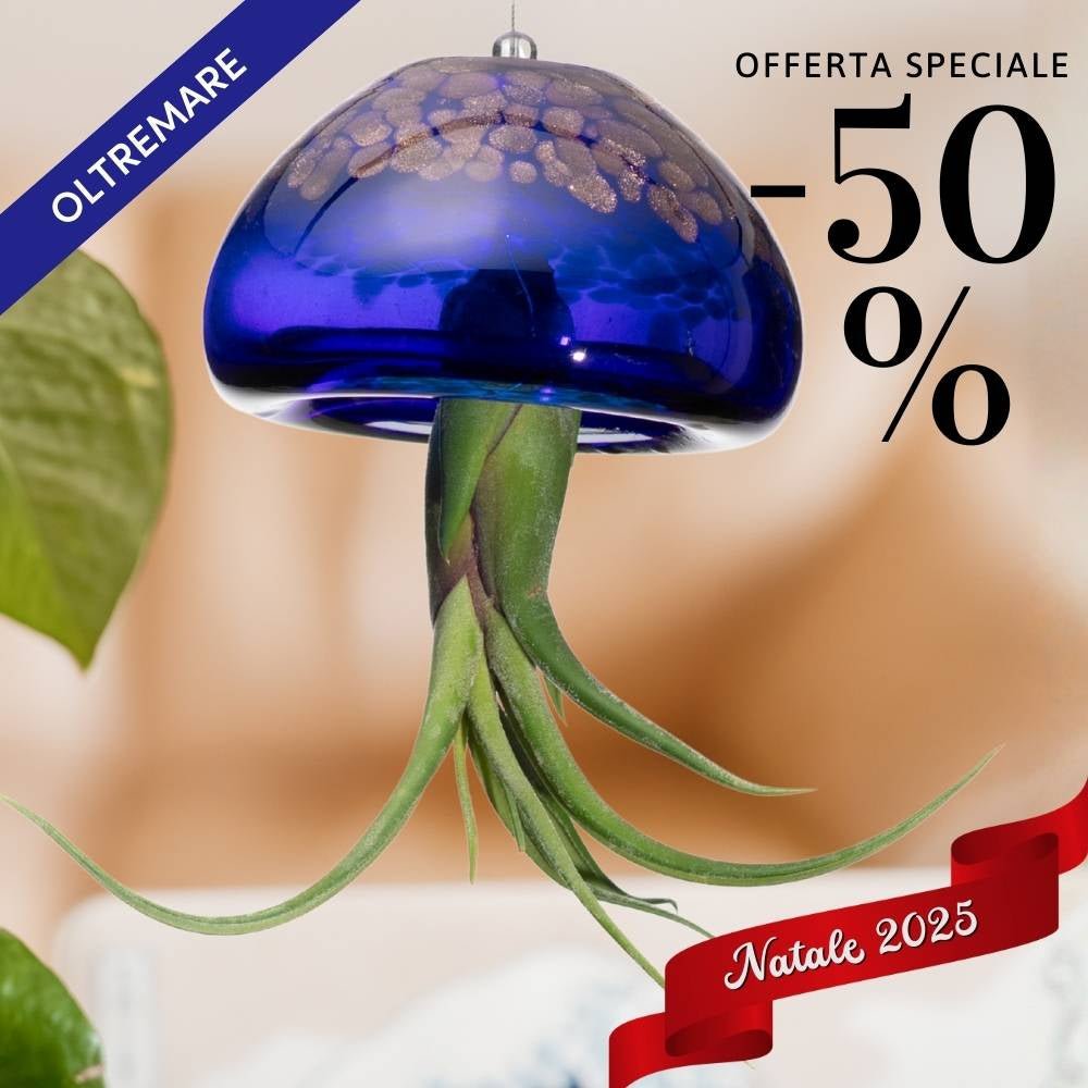 🎄 BIG JELILY - La Grande Medusa Porta Tillandsia - SBAMGLASS - Casa e giardino