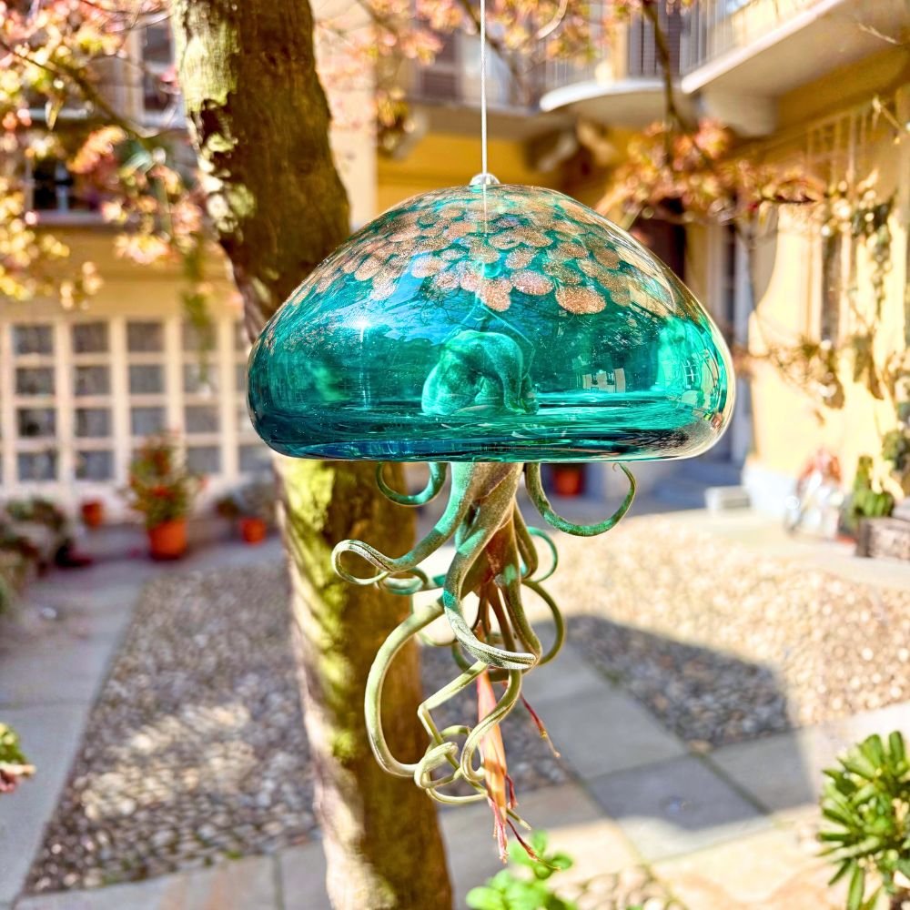 BIG JELILY - Porta Tillandsia Extra Large - SBAMGLASS - Casa e giardino