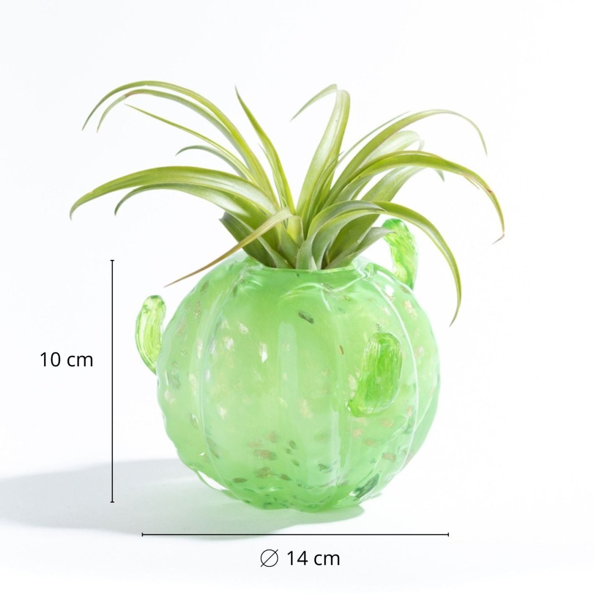 CACTUS small - Porta piante in vetro - SBAMGLASS - Casa e giardino