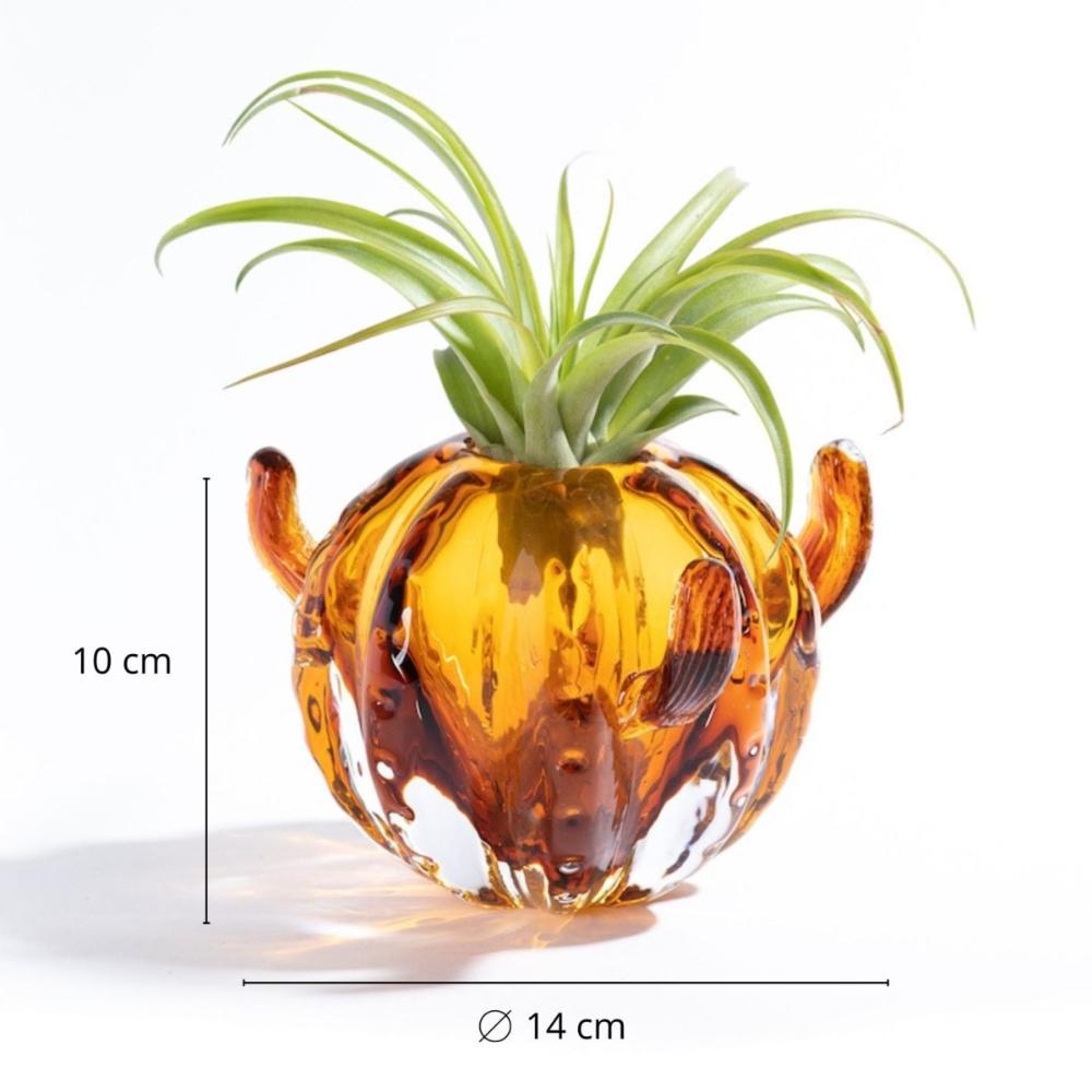 CACTUS small - Porta piante in vetro - SBAMGLASS - Casa e giardino