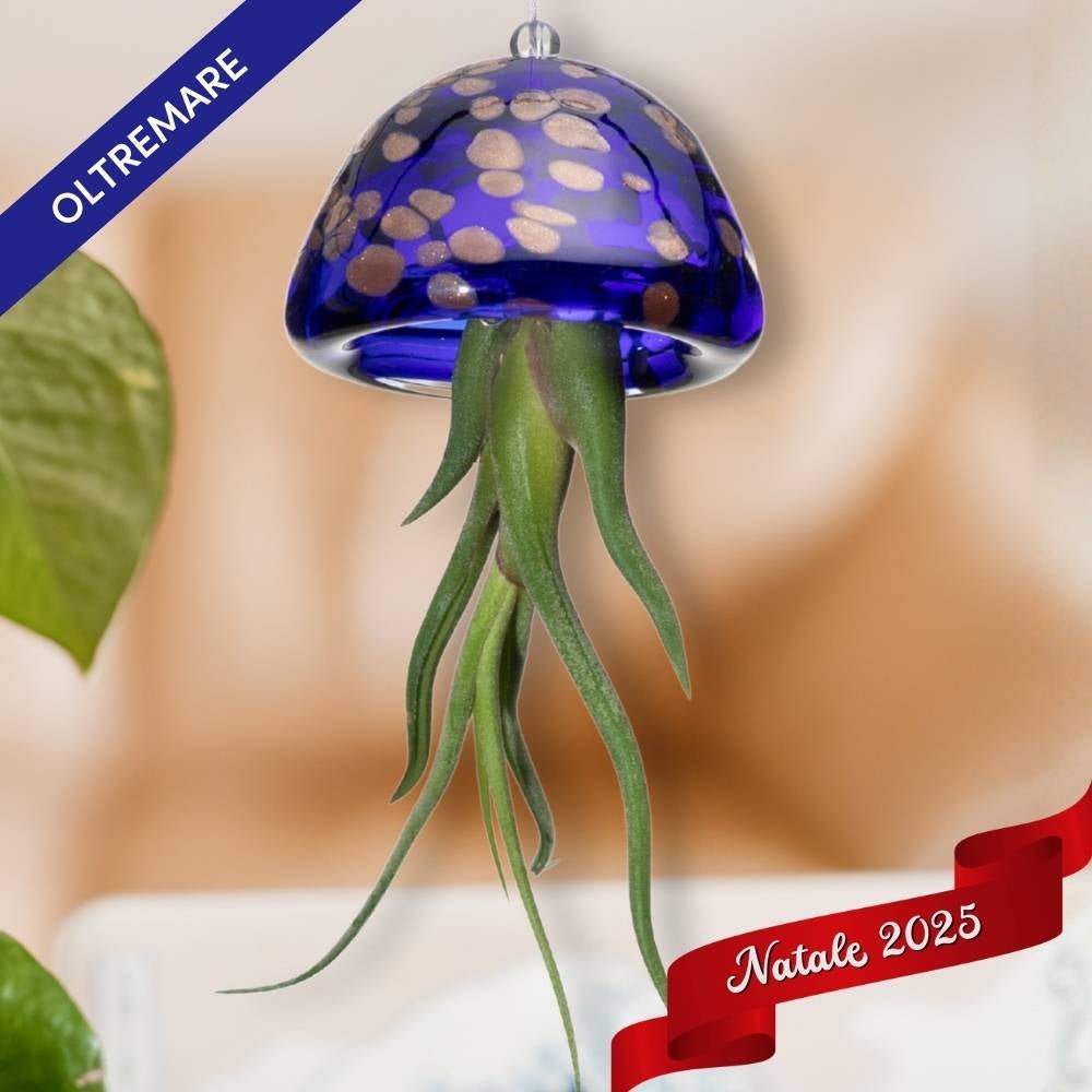 🎄 COLLEZIONE NATALE JELILY – Edizione Limitata 5 Colori - SBAMGLASS - Casa e giardino