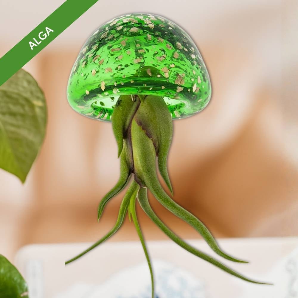 🎄 COLLEZIONE NATALE JELILY – Edizione Limitata 5 Colori - SBAMGLASS - Casa e giardino