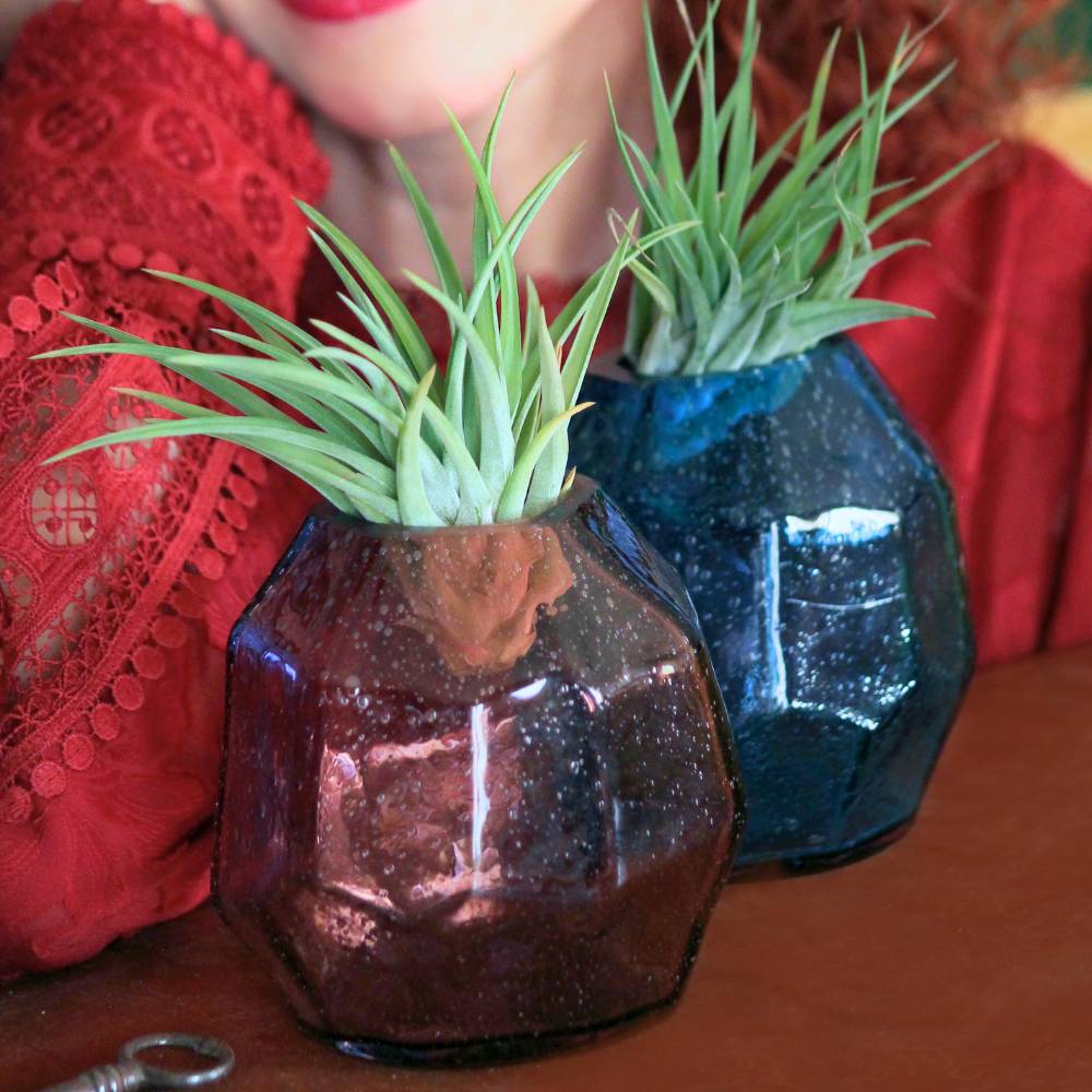 COPPIA GEMME - Porta Tillandsia - SBAMGLASS - Vasi