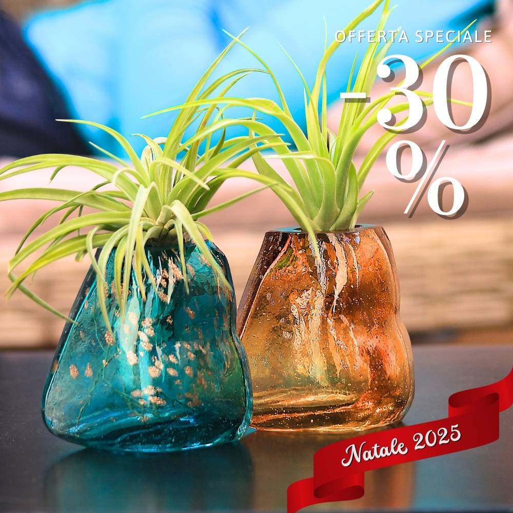🎄 COPPIA GEMME - Porta Tillandsia - SBAMGLASS - Vasi
