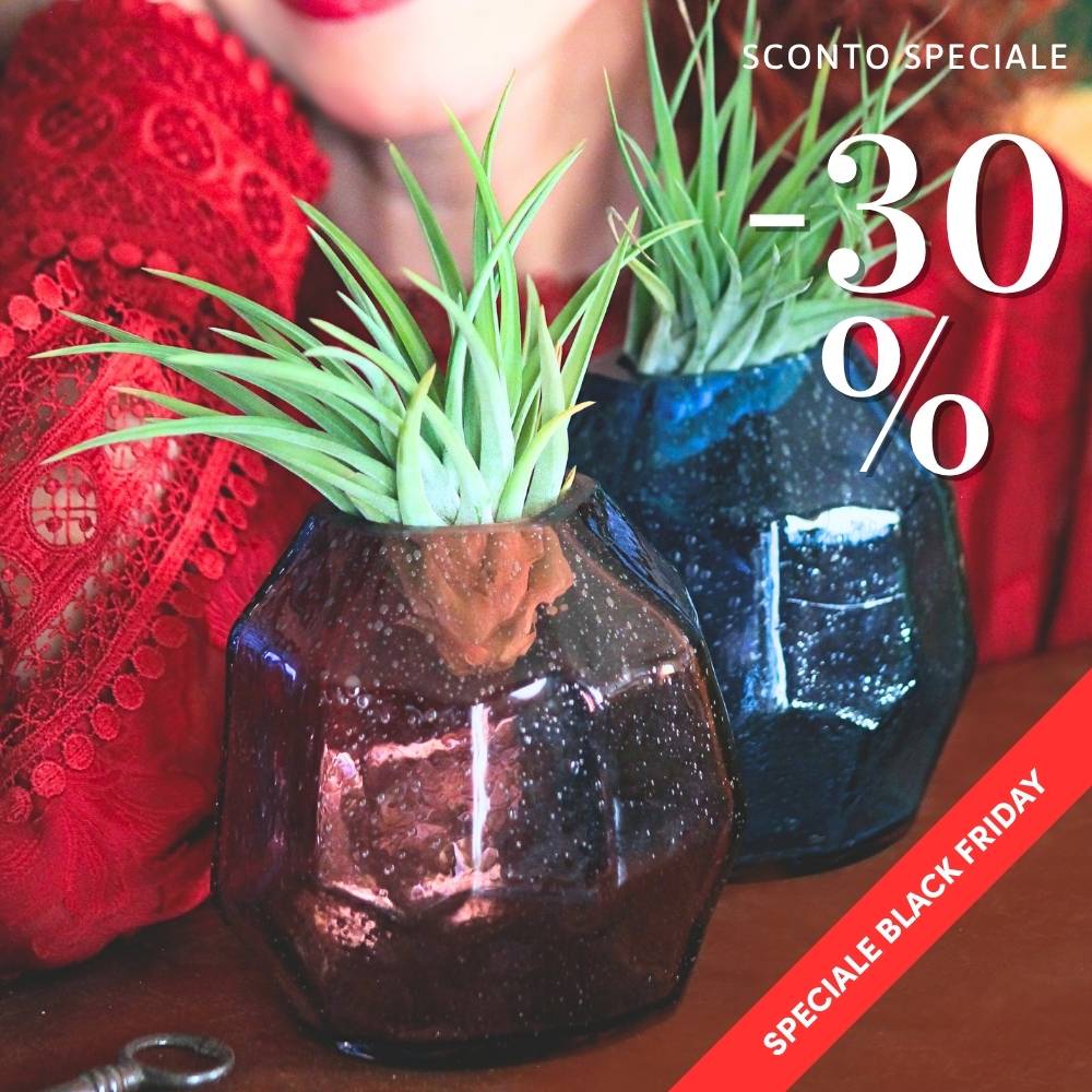 COPPIA GEMME - Porta Tillandsia - SBAMGLASS - Vasi