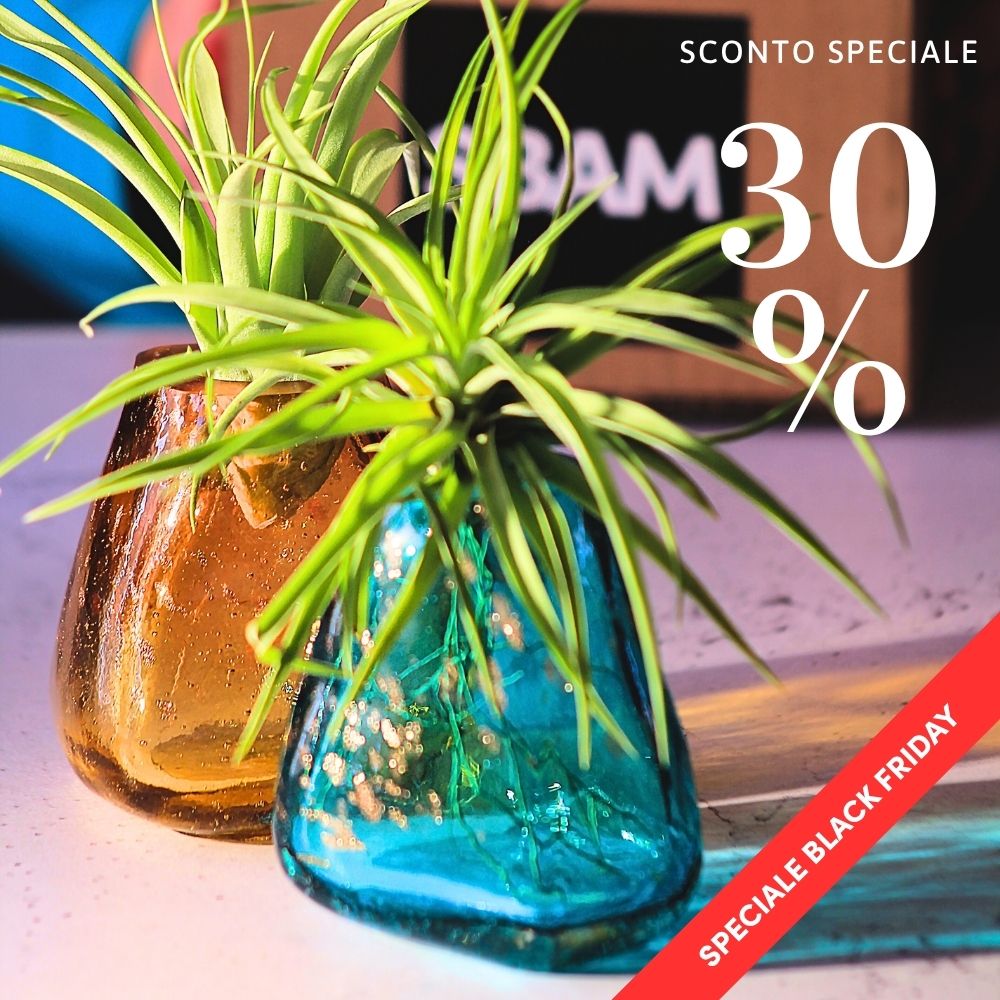 COPPIA GEMME - Porta Tillandsia - SBAMGLASS - Vasi