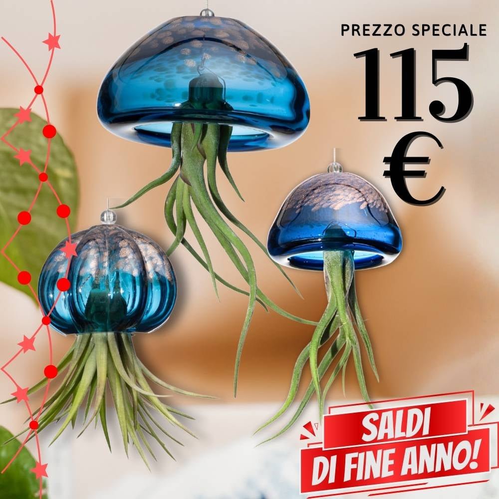 🌟 FAMIGLIE JELILY – 3 Porta Tillandsia in un unico Regalo - SBAMGLASS -