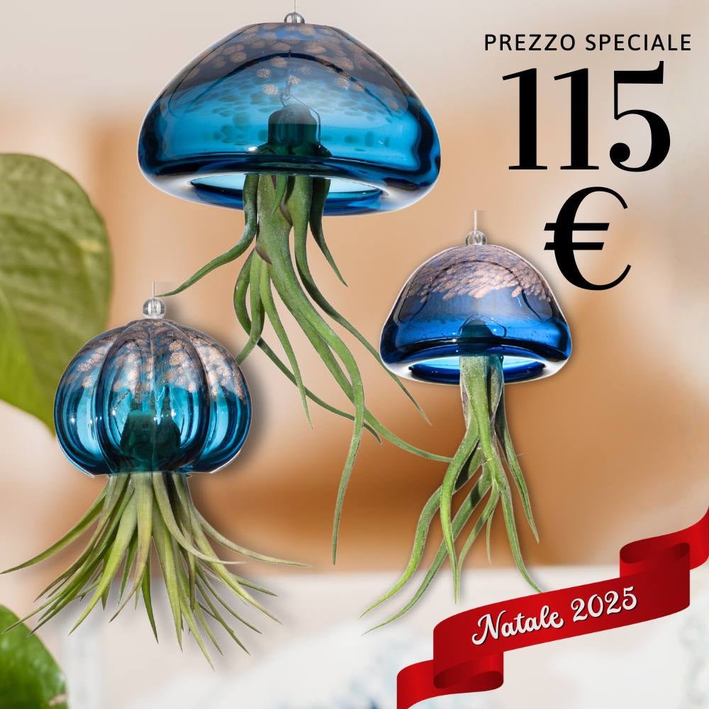 🎄 FAMIGLIE JELILY – 3 Porta Tillandsia in un unico Regalo - SBAMGLASS -