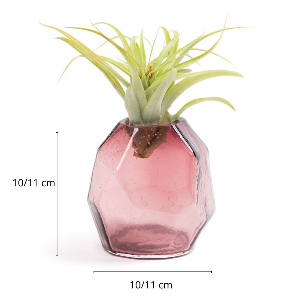 GEMME MEDIUM - SBAMGLASS - Vasi