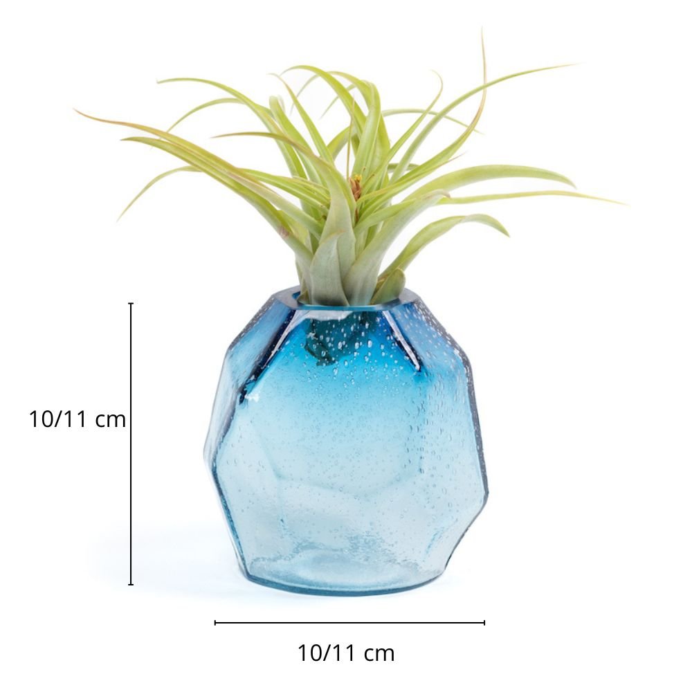 GEMME MEDIUM - SBAMGLASS - Vasi