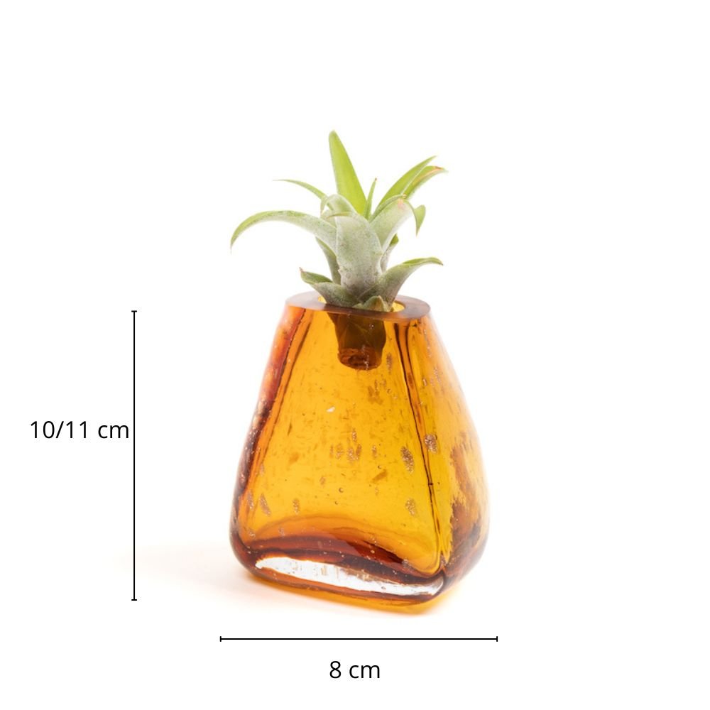 GEMME SMALL - SBAMGLASS - Vasi