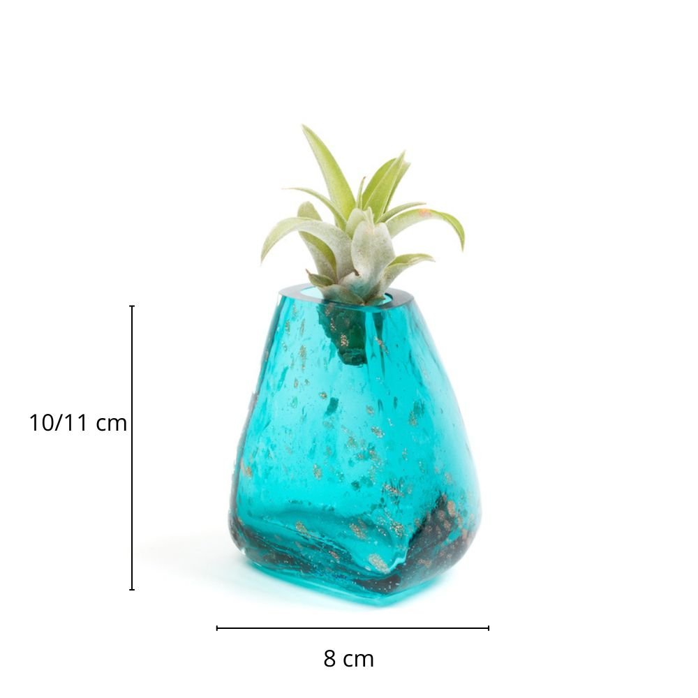 GEMME SMALL - SBAMGLASS - Vasi