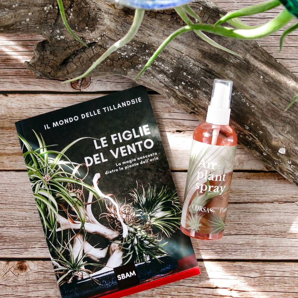IL MONDO DELLE TILLANDSIE - Il Libro sulle Figlie del Vento - SBAMGLASS - Vasi