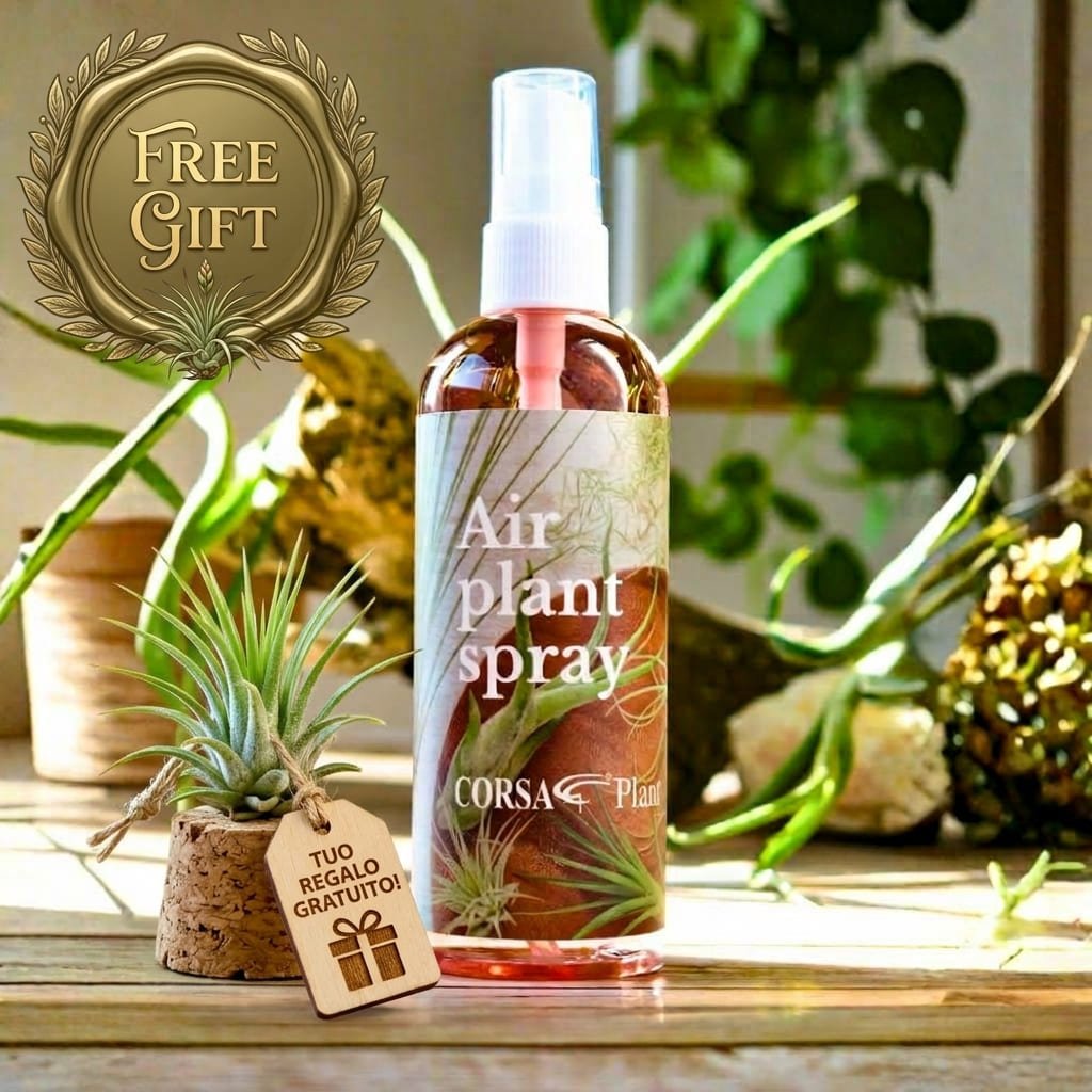Integratore nutriente per tillandsia - omaggio - SBAMGLASS - free_gift