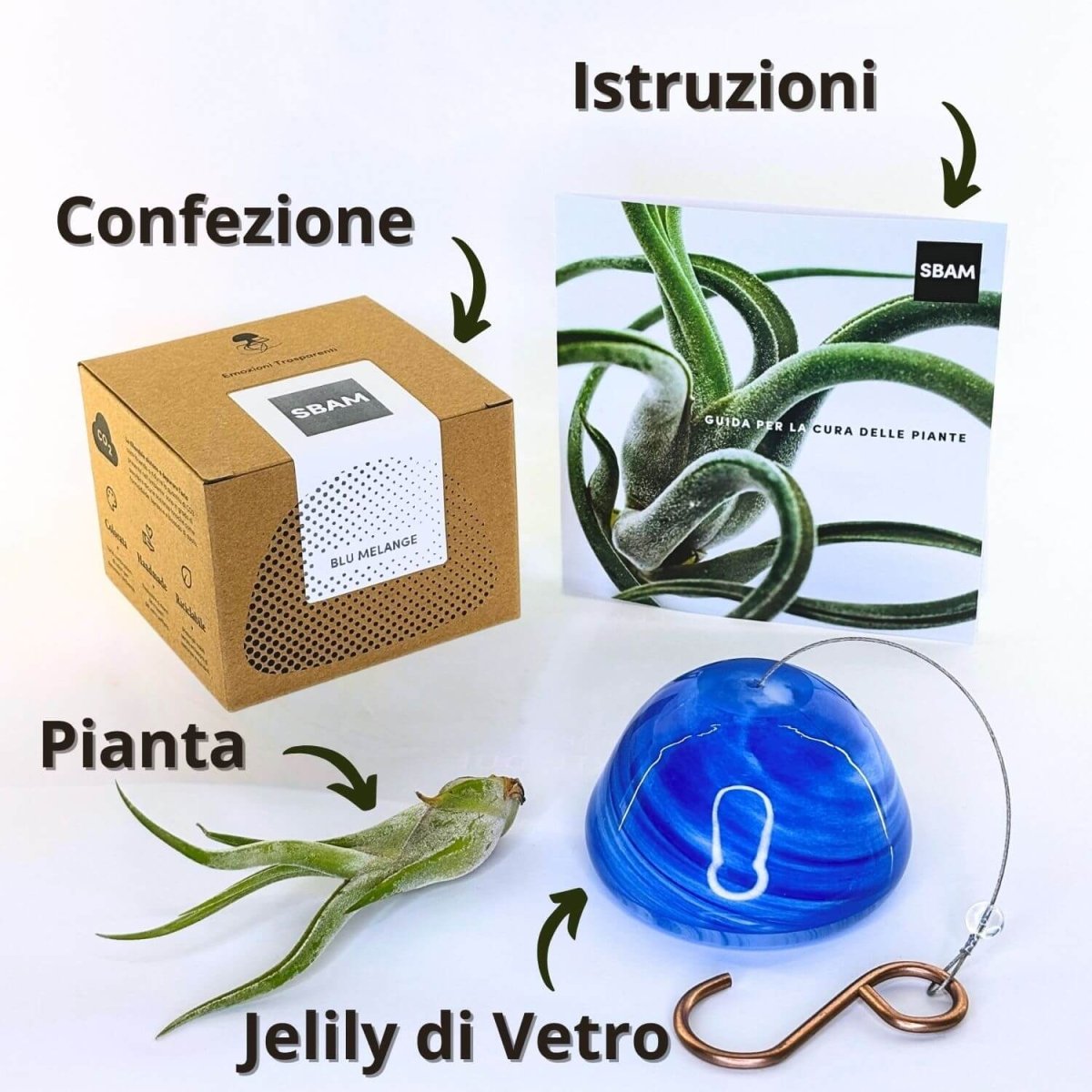 JELILY - SBAMGLASS - Casa e giardino