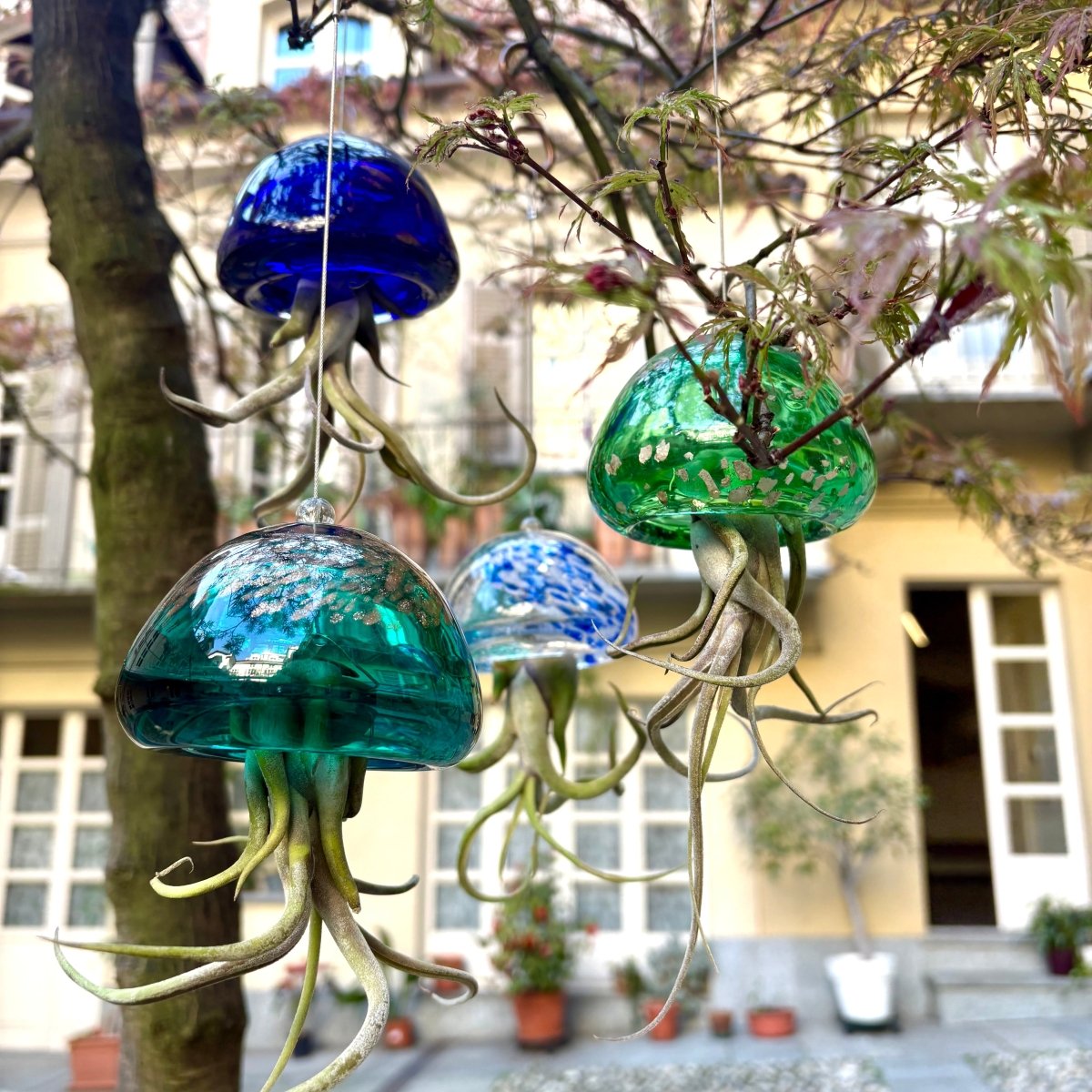 JELILY - SBAMGLASS - Casa e giardino