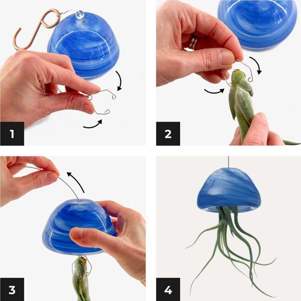 JELILY - SBAMGLASS - Casa e giardino