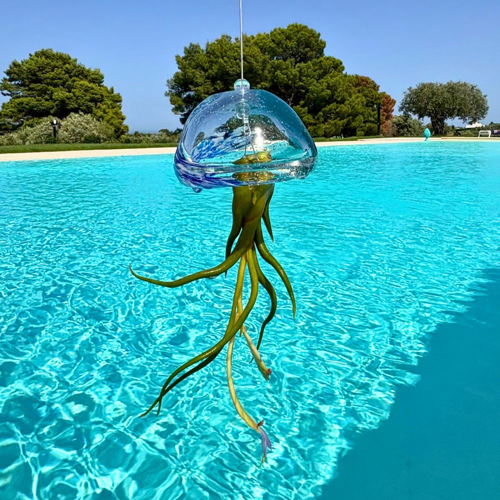 JELILY - SBAMGLASS - Casa e giardino