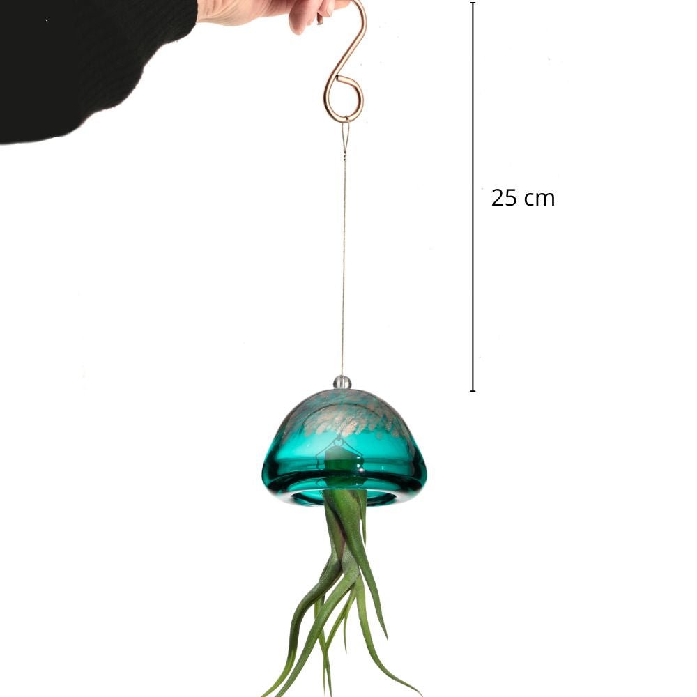 JELILY - SBAMGLASS - Casa e giardino