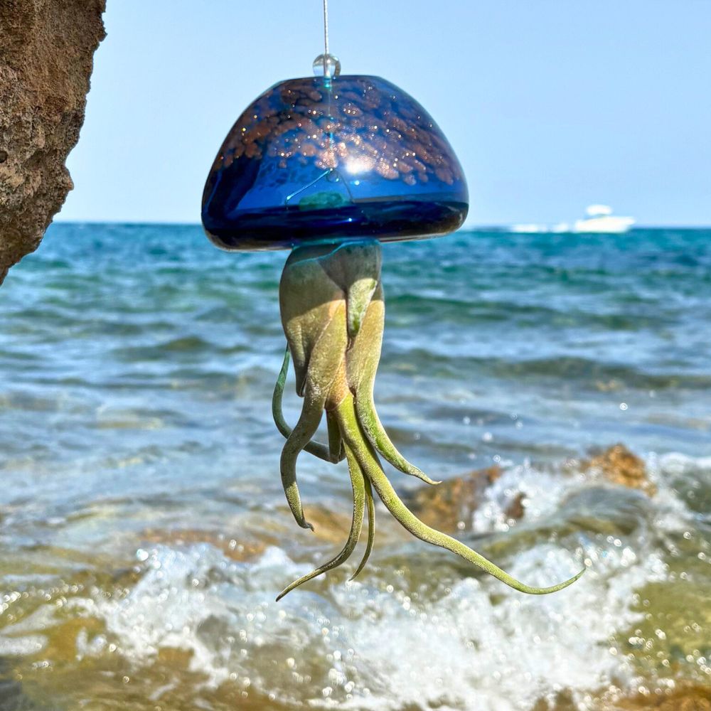 JELILY - SBAMGLASS - Casa e giardino