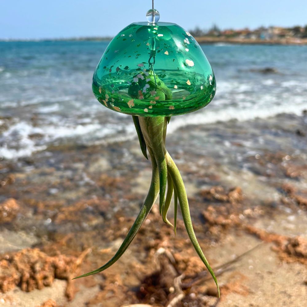 JELILY - SBAMGLASS - Casa e giardino