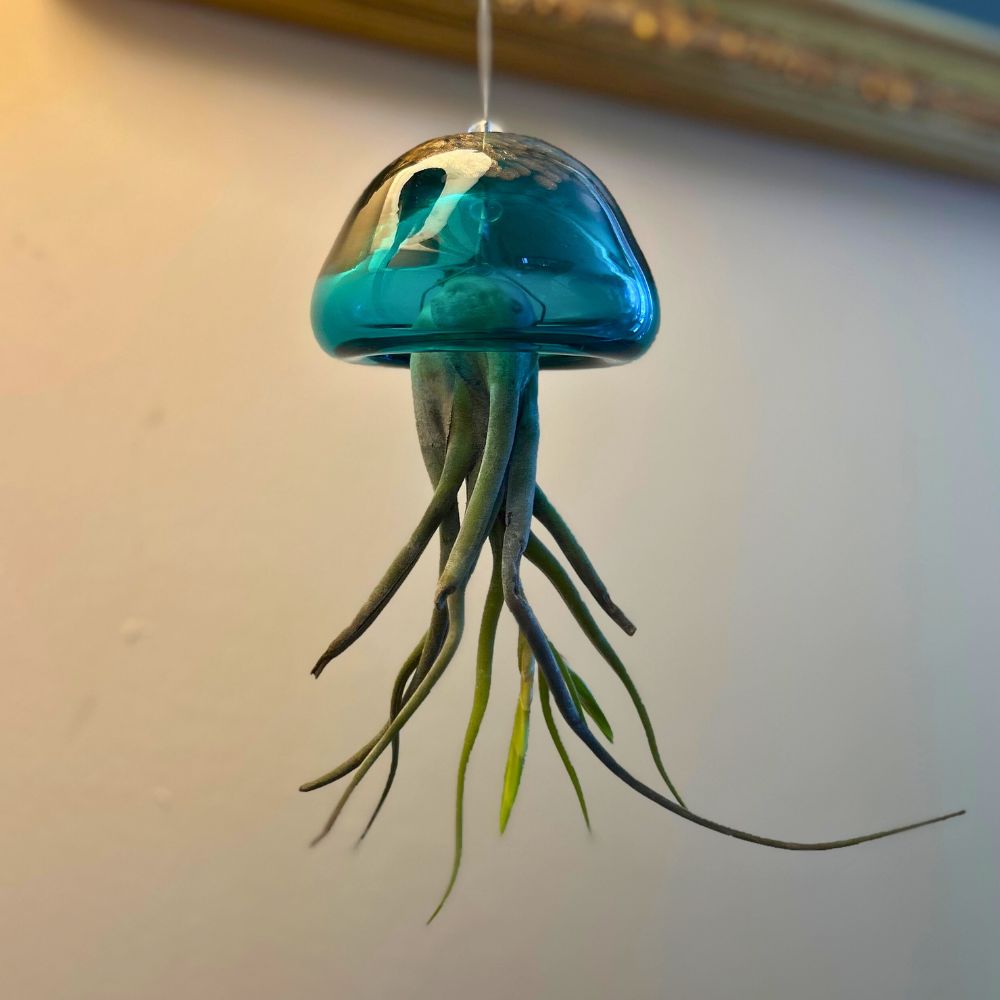 JELILY - SBAMGLASS - Casa e giardino