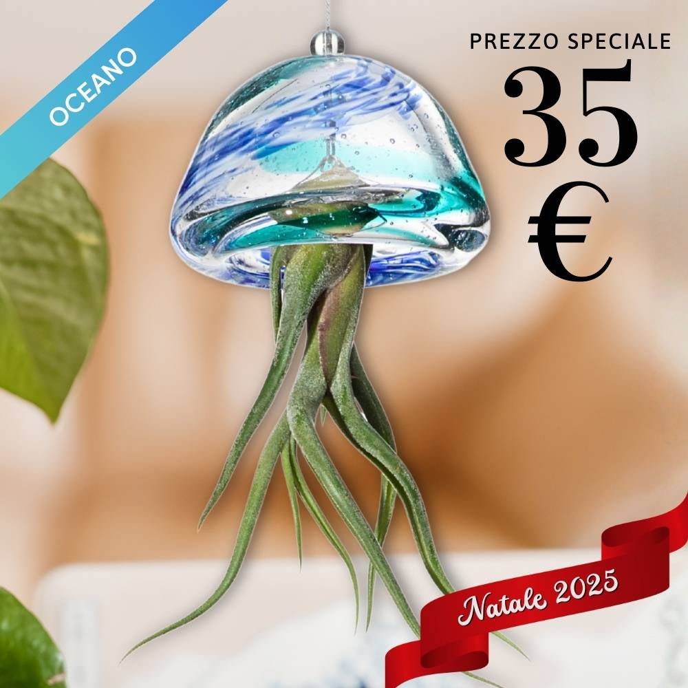 🎄 JELILY - La Medusa Porta Tillandsia - SBAMGLASS - Casa e giardino