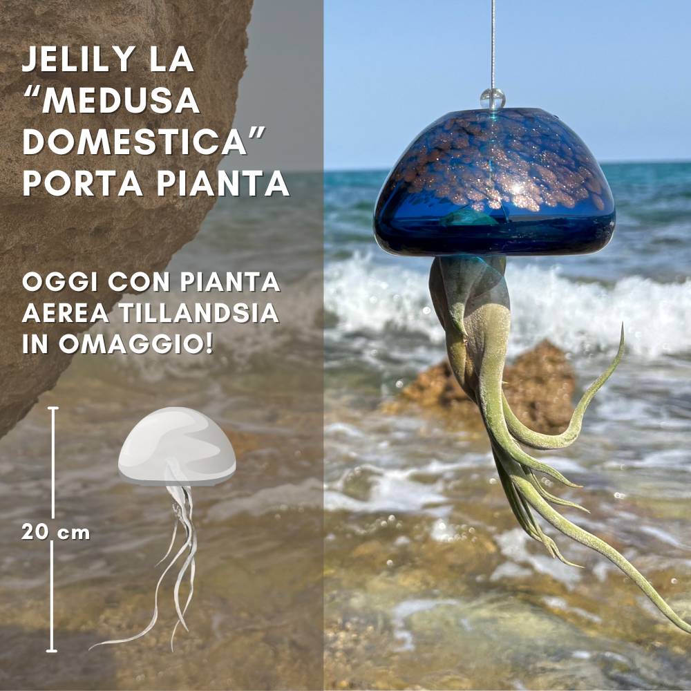 JELILY - La Medusa Porta Tillandsia - SBAMGLASS - Casa e giardino