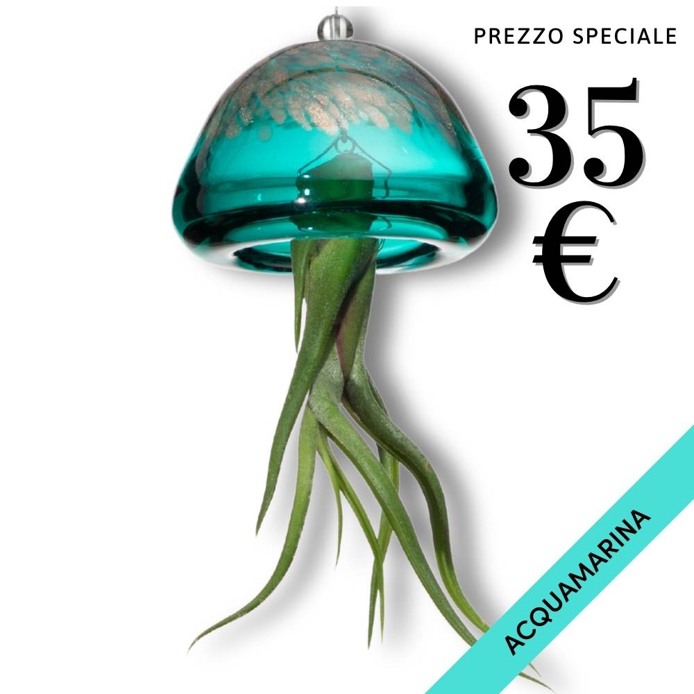 JELILY - La Medusa Porta Tillandsia - SBAMGLASS - Casa e giardino