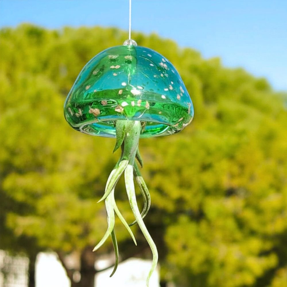 JELILY - La Medusa Porta Tillandsia - SBAMGLASS - Casa e giardino