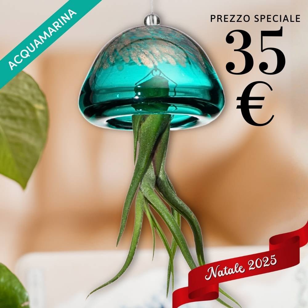 🎄 JELILY - La Medusa Porta Tillandsia - SBAMGLASS - Casa e giardino