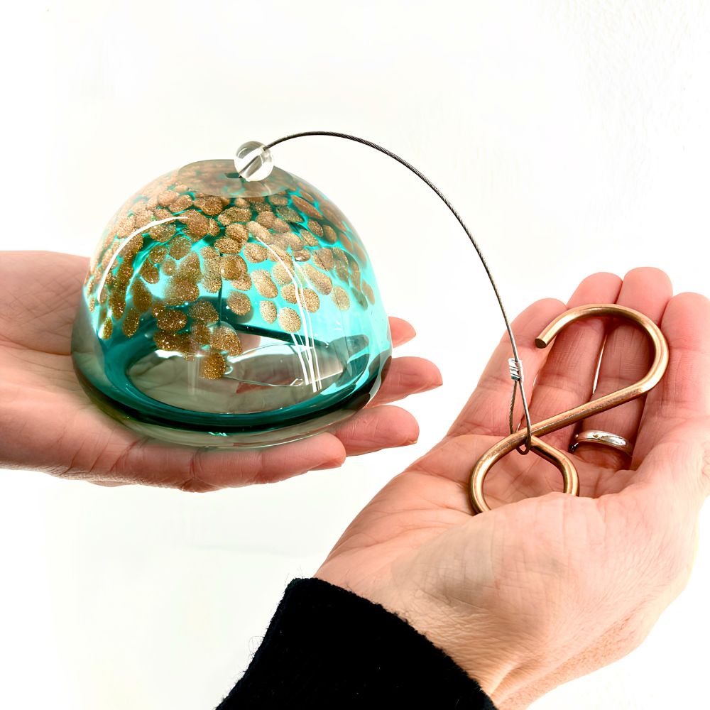 JELILY - La Medusa Porta Tillandsia - SBAMGLASS - Casa e giardino