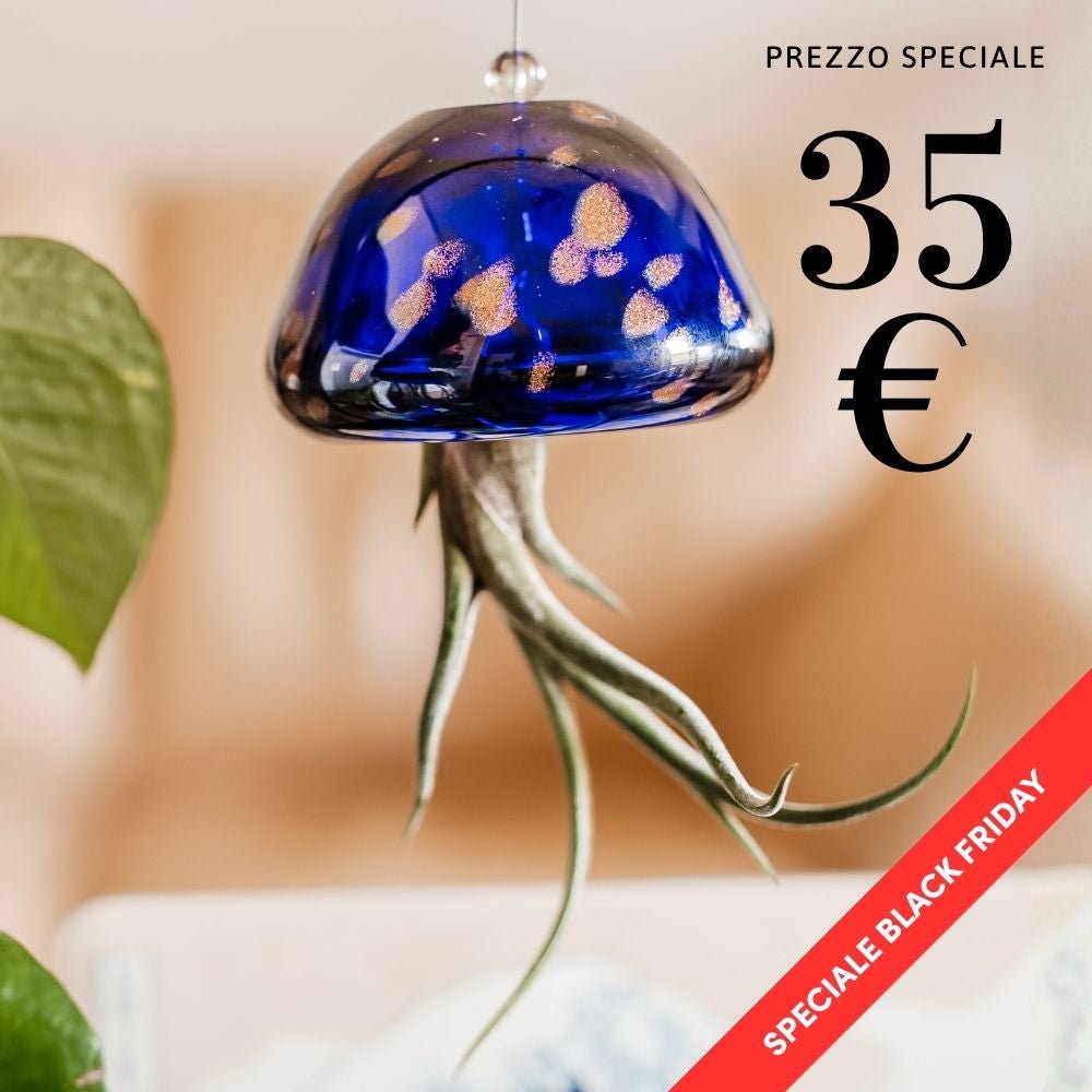 JELILY - La Medusa Porta Tillandsia - SBAMGLASS - Casa e giardino