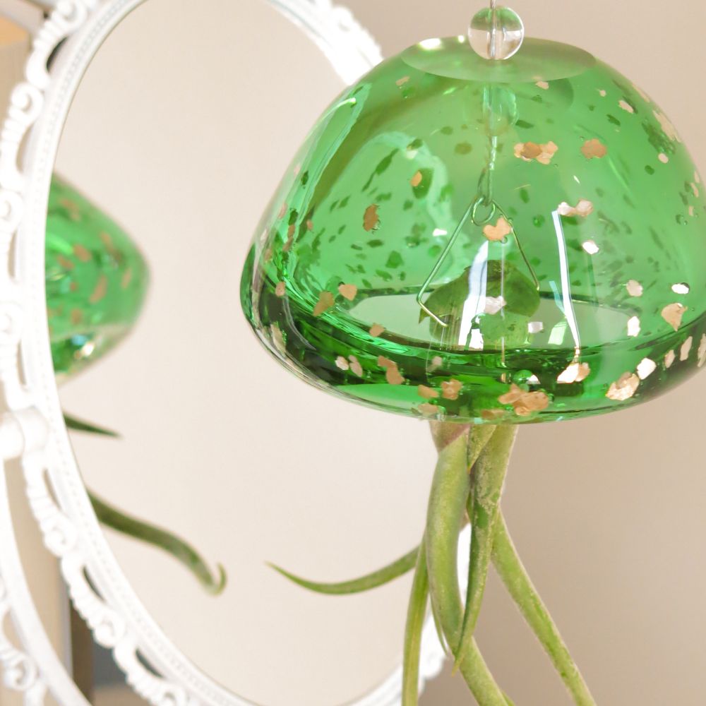 JELILY OLTREMARE e ALGA + OMAGGIO JELILY DENIM - SBAMGLASS - Casa e giardino