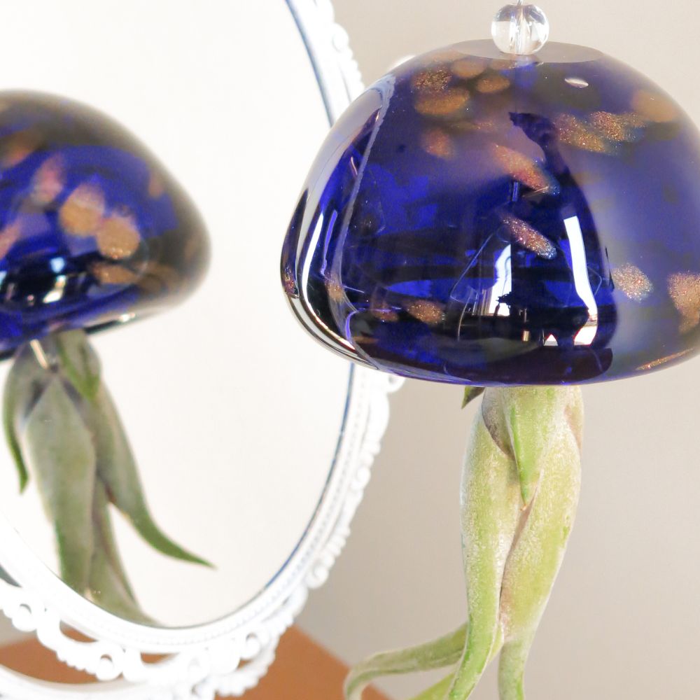 JELILY OLTREMARE e ALGA + OMAGGIO JELILY DENIM - SBAMGLASS - Casa e giardino