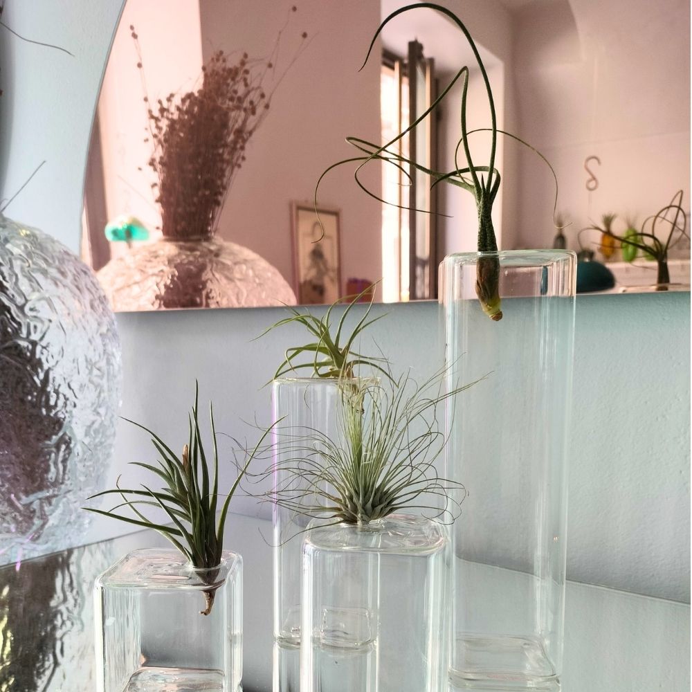 LEGO - Vaso in vetro - SBAMGLASS - Vasi