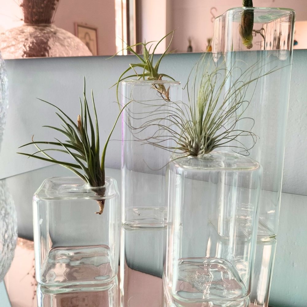 LEGO - Vaso in vetro - SBAMGLASS - Vasi