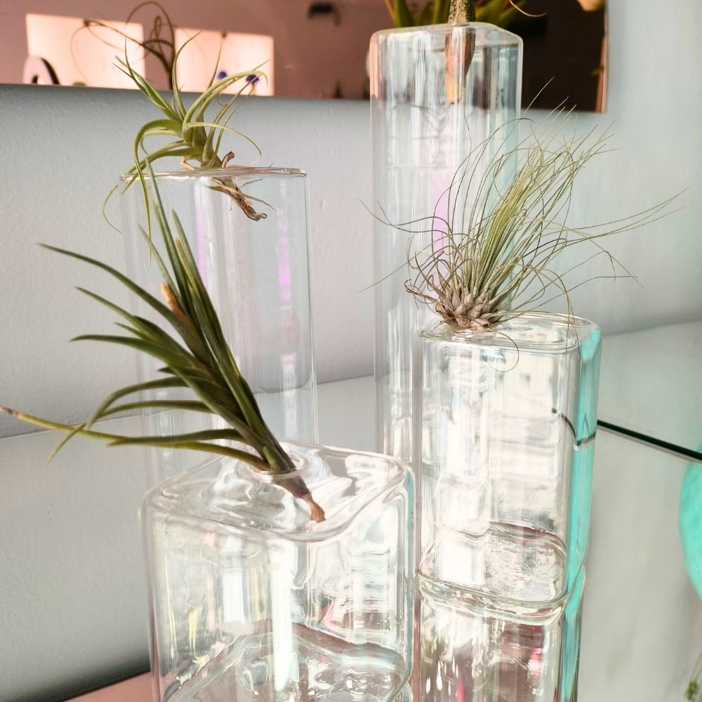 LEGO - Vaso in vetro - SBAMGLASS - Vasi