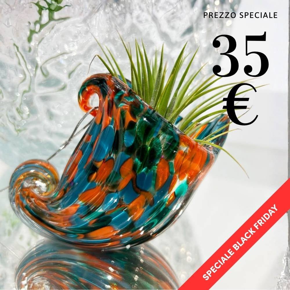 NAUTILUS - Porta Tillandsia - SBAMGLASS - Casa e giardino