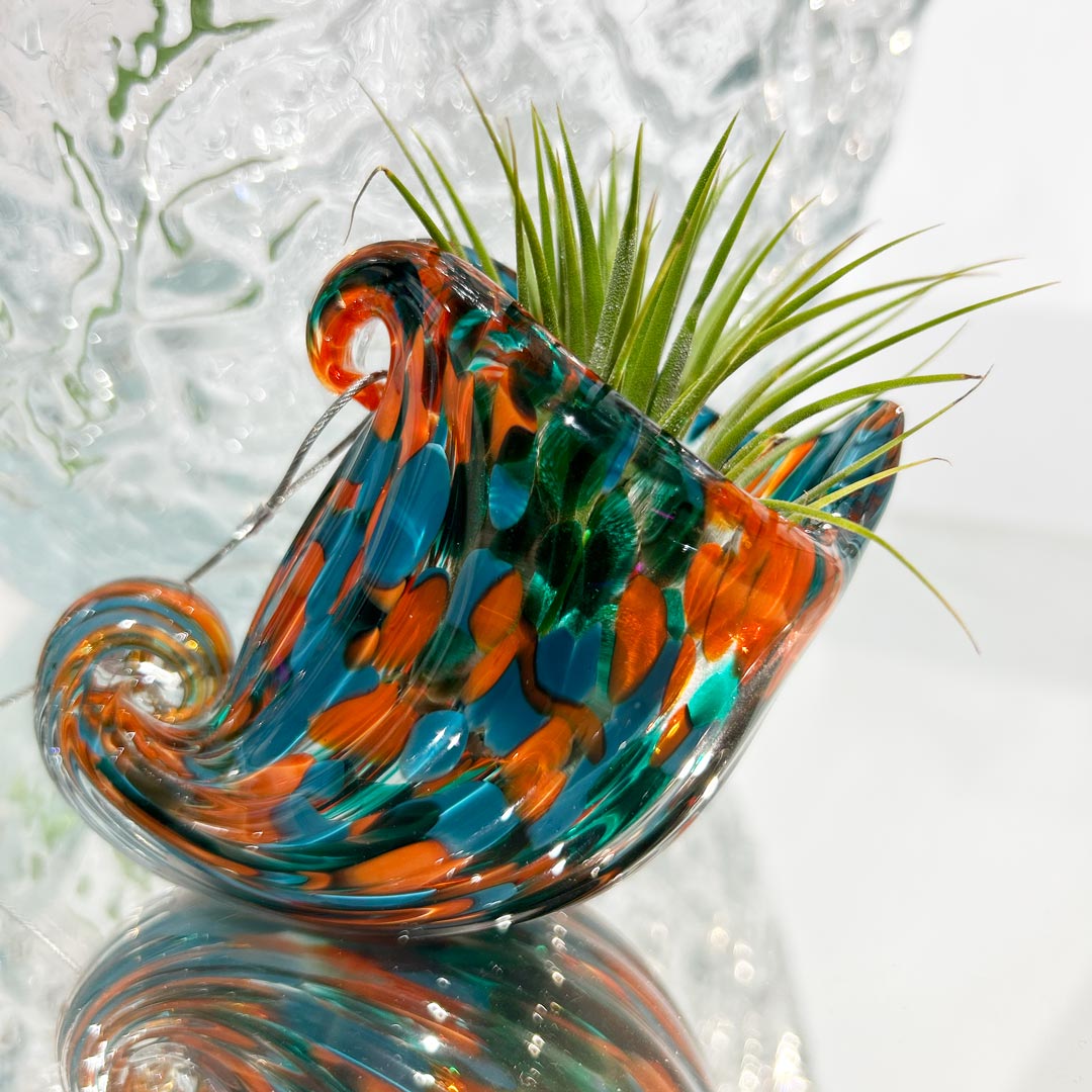 NAUTILUS - Porta Tillandsia - SBAMGLASS - Casa e giardino