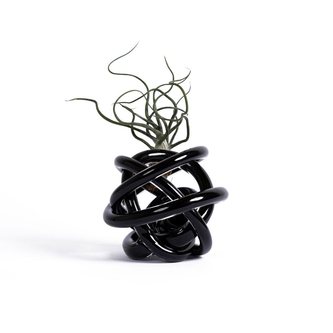 NODO DI VETRO - SBAMGLASS - Casa e giardino